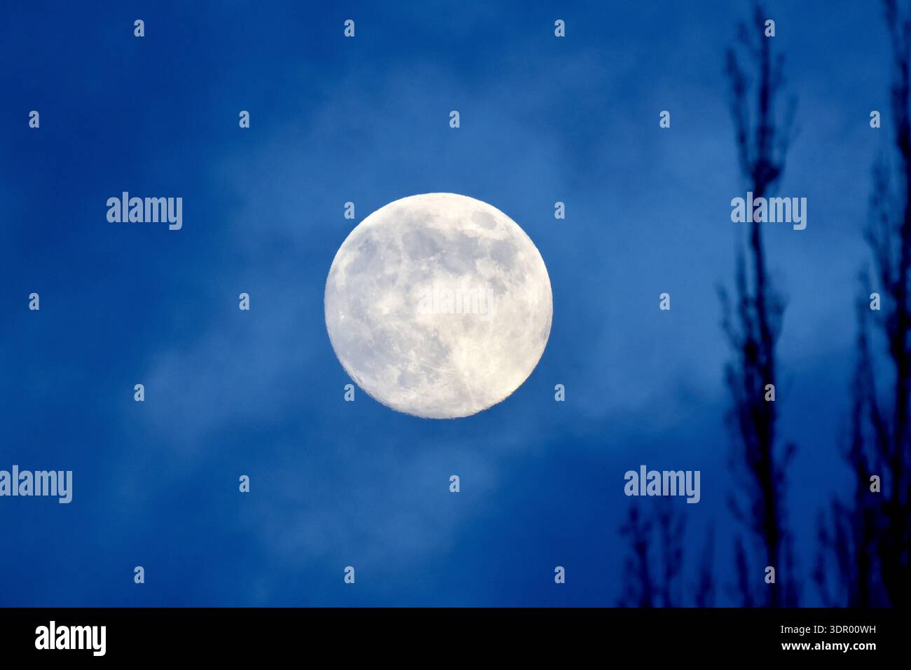Full Moon during Blue Hour Stock Photo