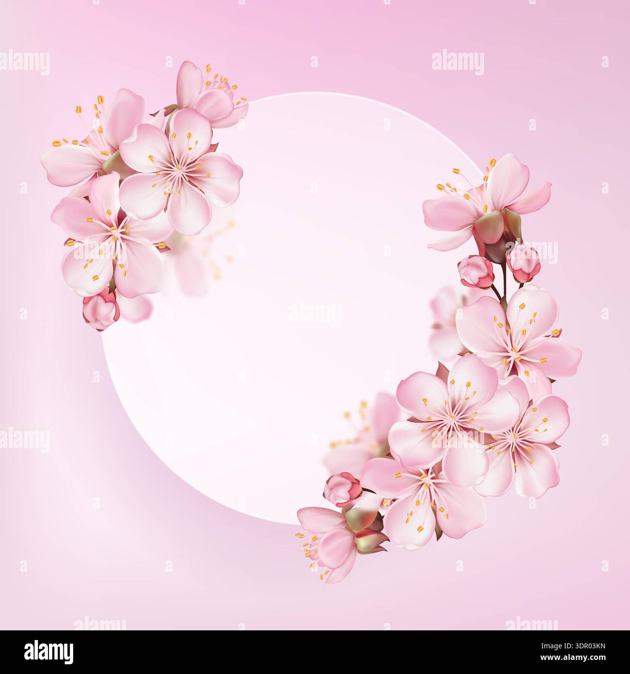 Sakura Blossom Round Floral Frame Stock Vector