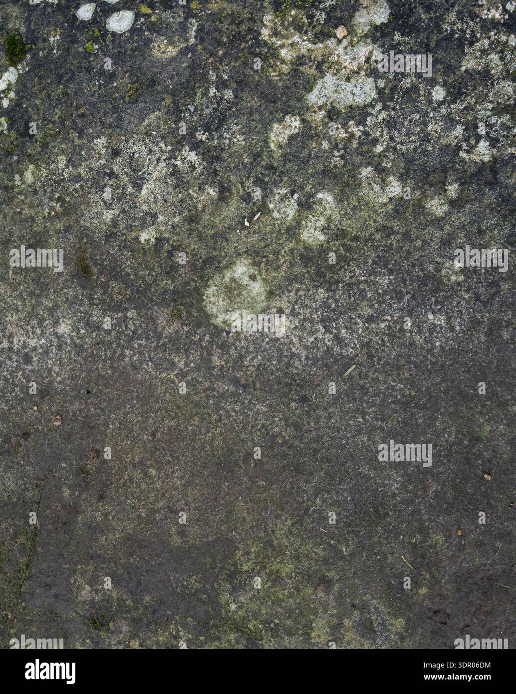 detailed-stone-texture-marked-bylichen-and-age-worn-mineral-staining