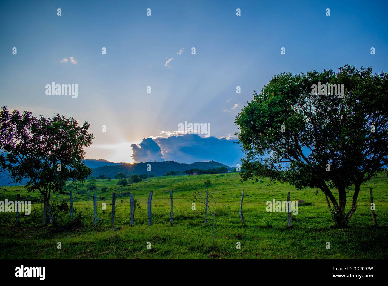Scenic rural landscape with green pasture, trees, and dramatic sun rays over mountains at sunset in Colombia. Stock Photo