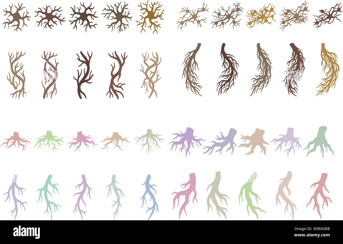 Branch Roots Vectors Tree Roots and Branch Silhouettes Collection with Natural Organic ...