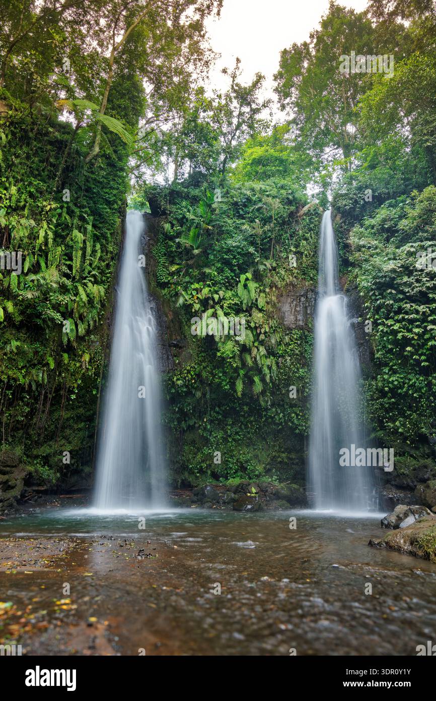 Air Terjun Benang Stokel waterfall, Lombok, Indonesia — thin streams cascade over mossy cliff in lush tropical rainforest, dense green vegetation, mis Stock Photo