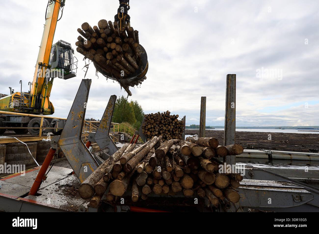 Log loader ramp in action during water log dumping at a timber yard under a cloudy sky Stock Photo