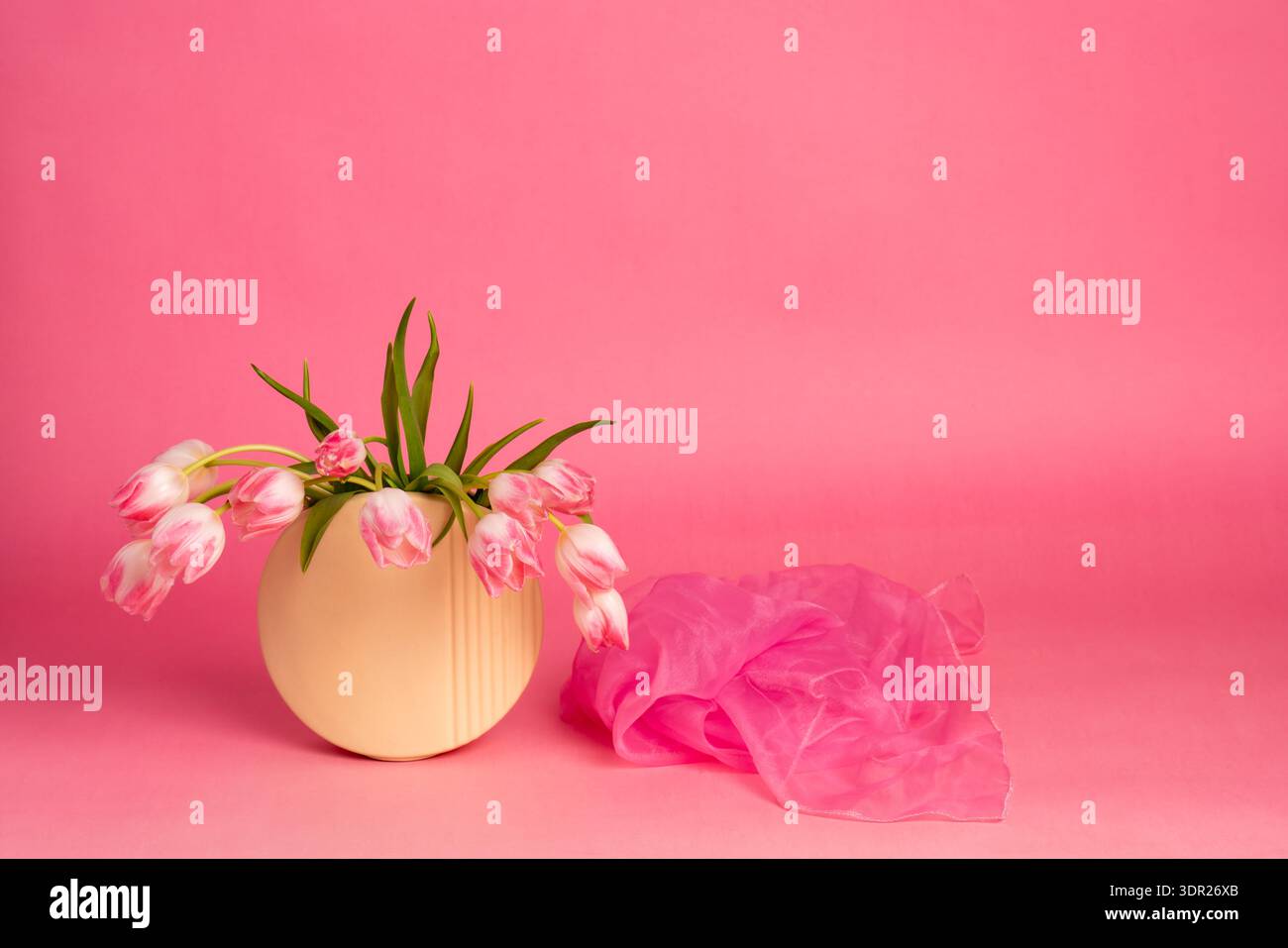 Bright and tender pink tulips in round vase over pink background ...