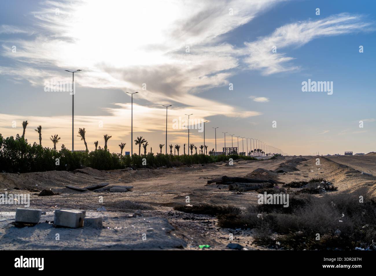 Desert Development Linear row of streetlights and palms stretching through a developing ...