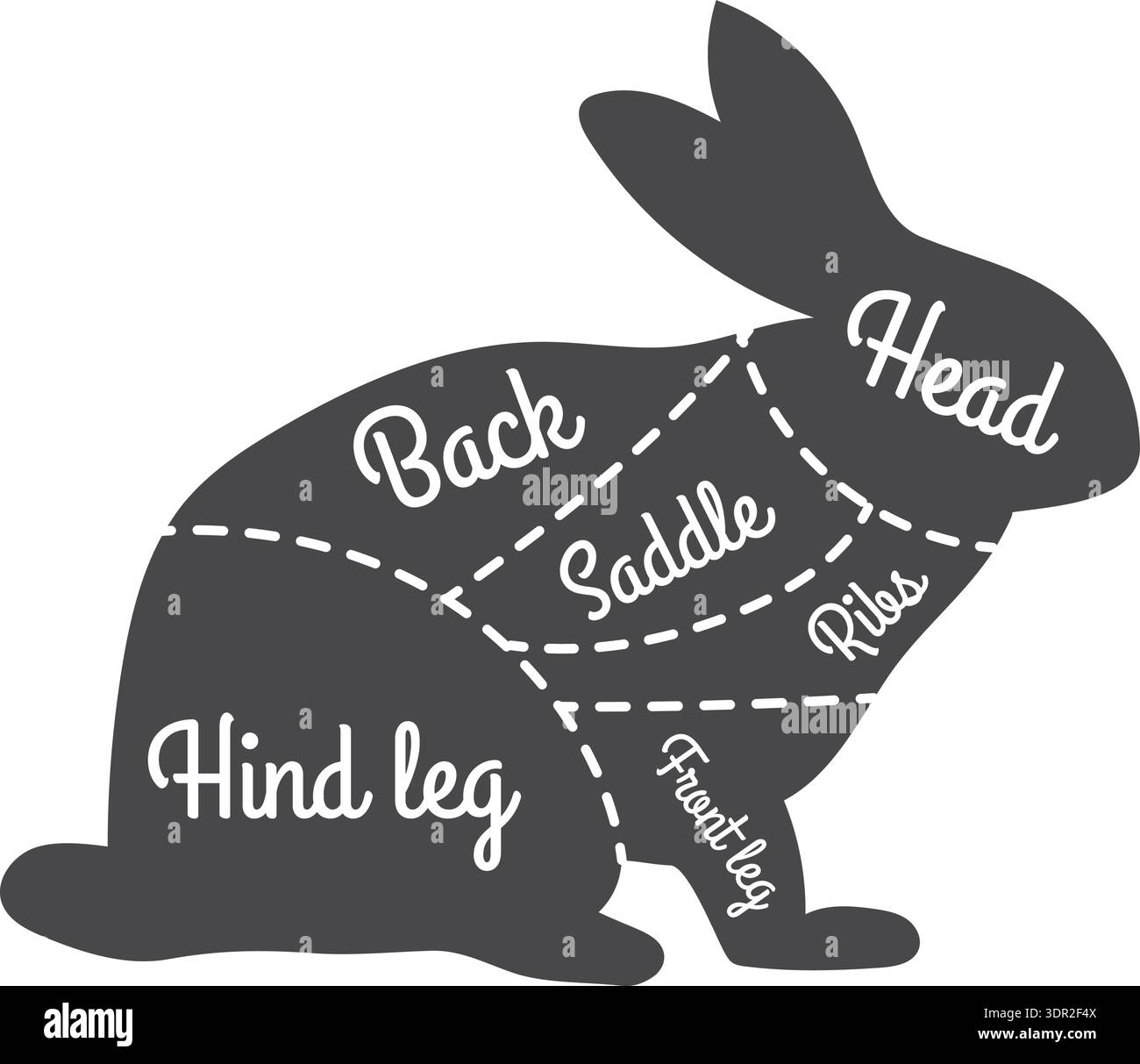 Rabbit meat cut diagram. Butchery animal chart Stock Vector Image & Art ...