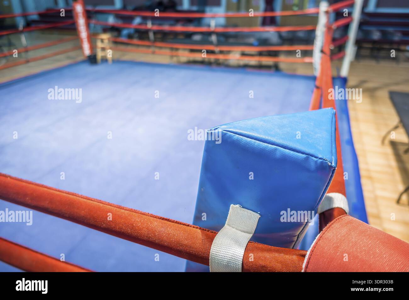 The boxing training in a gymnasium Stock Photo