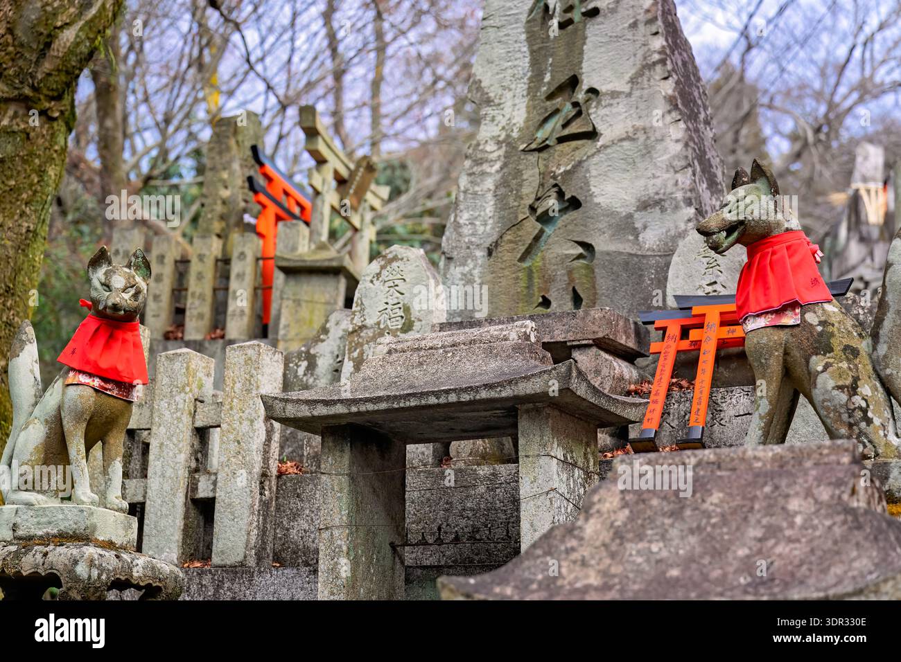 Kyoto Japan - January 2026: Stone fox statues and mini torii gate