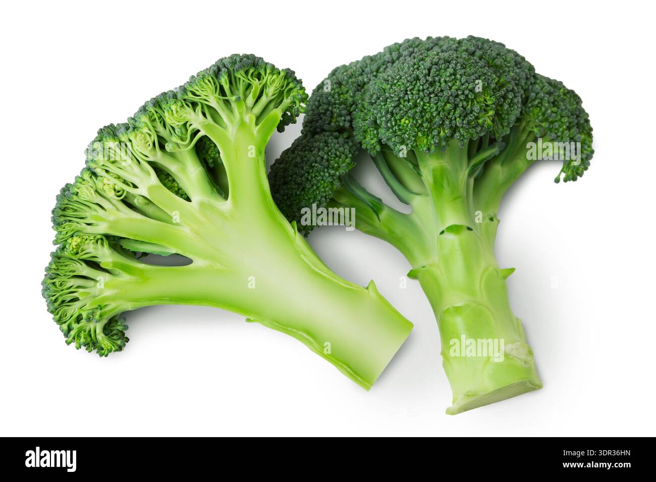 Fresh Broccoli Heads on a White Background Showing Green Stalks and ...