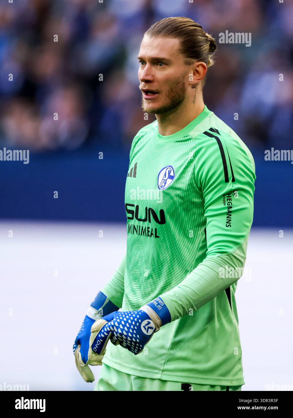 Loris karius hi-res stock photography and images - Alamy