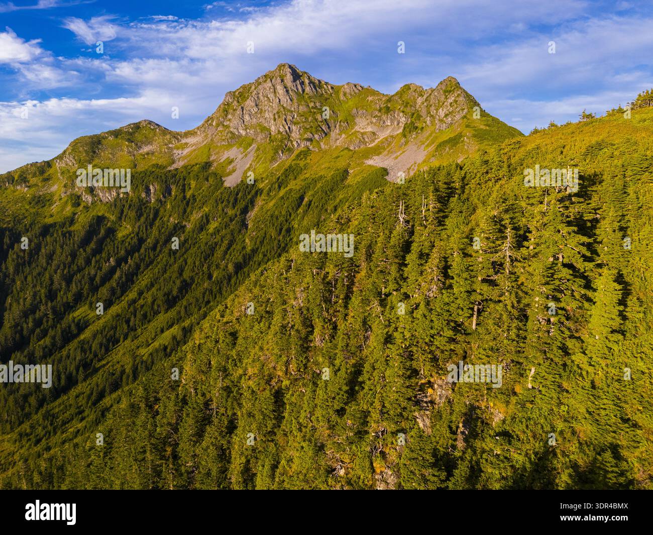 Aerial view of jagged peaks and lush green forests create a stunning ...