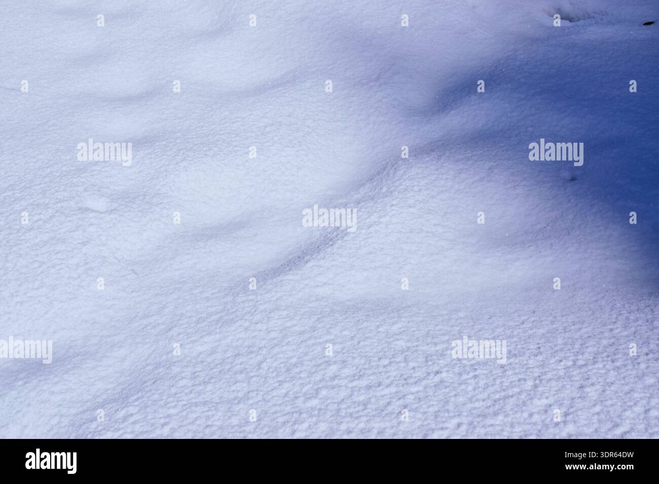 Minimalist winter texture featuring long blue shadows on pristine white snow. Stock Photo