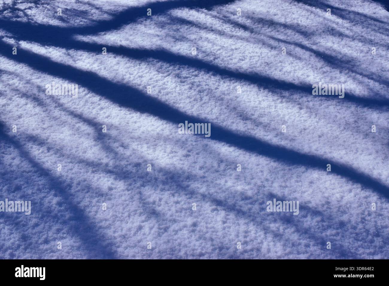 Minimalist winter texture featuring long blue shadows on pristine white snow. Stock Photo