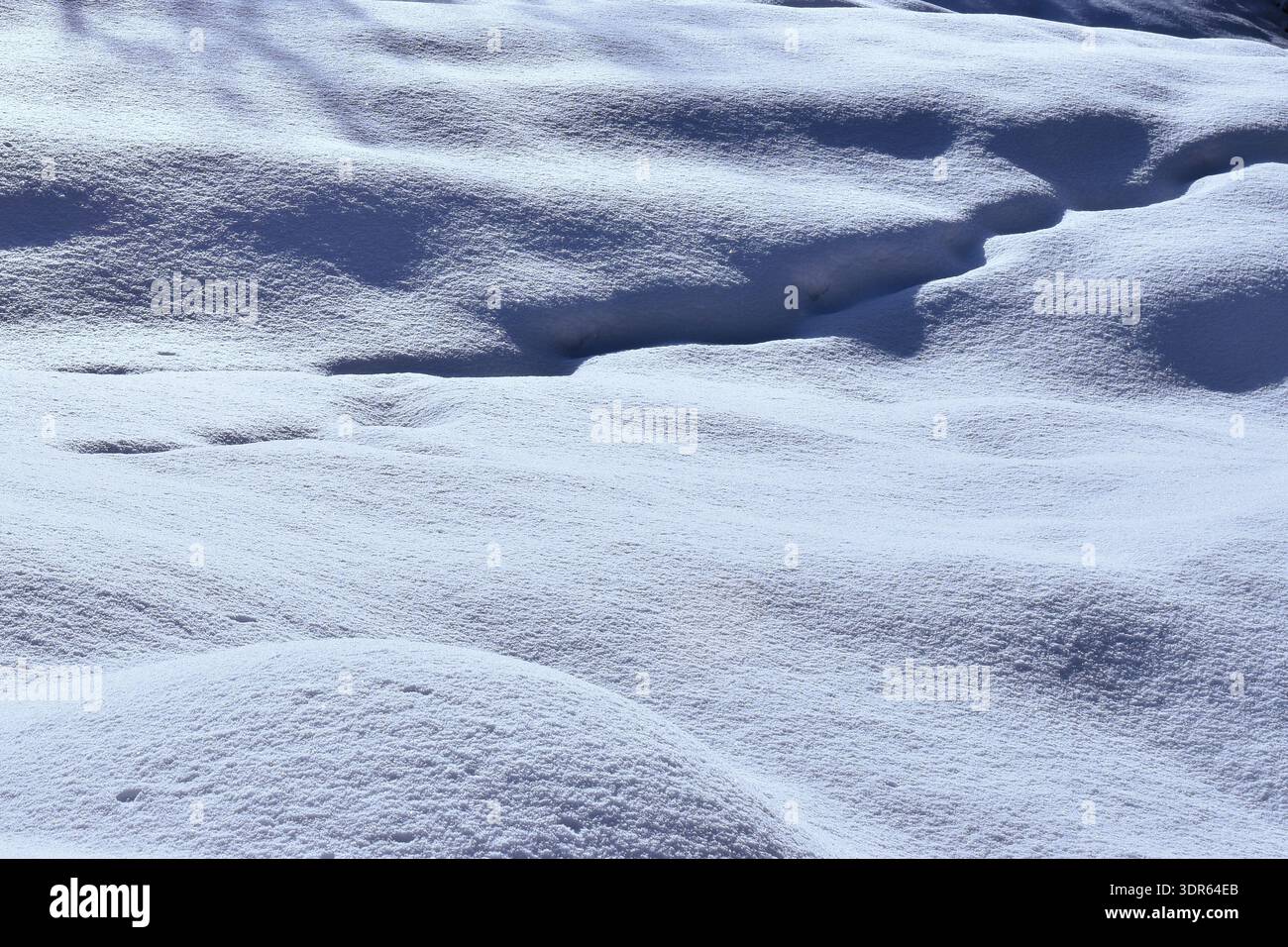 Minimalist winter texture featuring long blue shadows on pristine white snow. Stock Photo