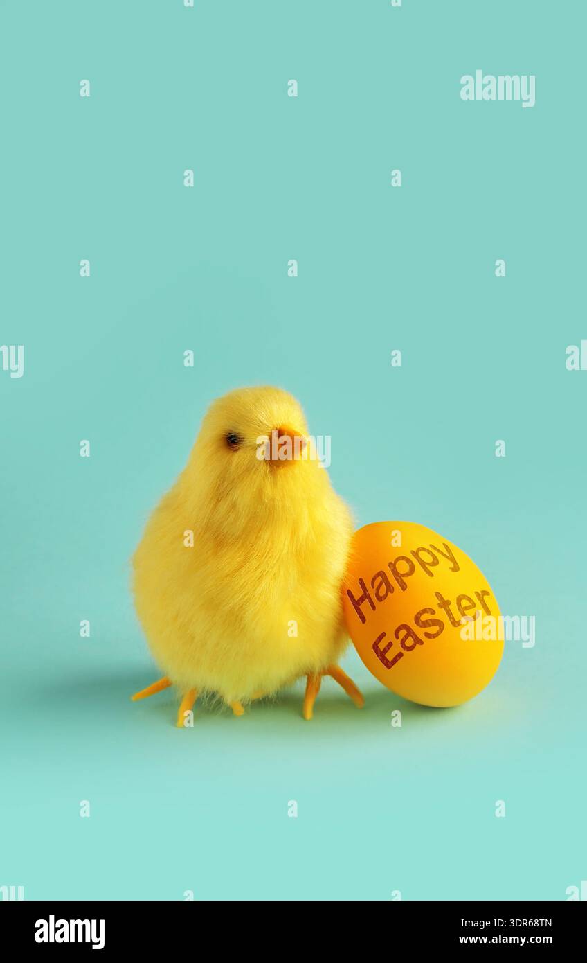Chicken and easter egg on blue background. Happy Easter Stock Photo