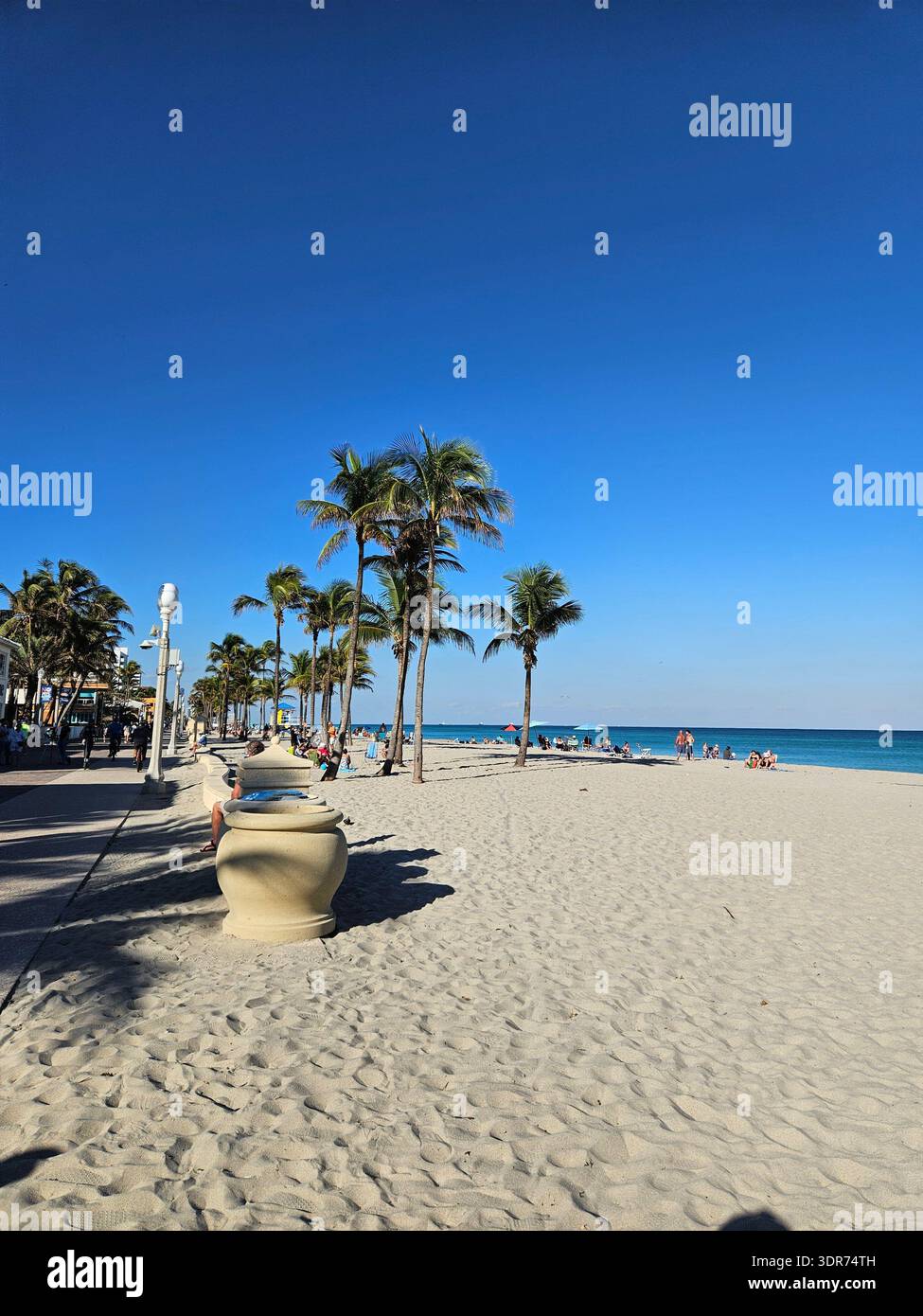 EDITORIAL USE ONLY- HOLLYWOOD BEACH FLORIDA:  Tall palm trees line the white sands of Hollywood Beach, Florida, under a clear blue sky. Tourists and locals enjoy the scenic broadwalk, a popular destination for coastal recreation, sunbathing, and oceanfront dining in South Florida. - Smartphone Captured Stock Image