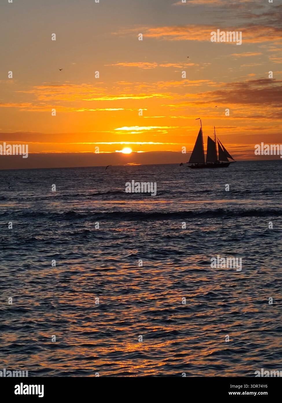 EDITORIAL USE ONLY- KEY WEST FLORIDA:  Dramatic Orange Sunset over the Ocean with Schooner Silhouette. ​A vibrant, saturated orange sunset over choppy ocean waters. A two-masted schooner is silhouetted against the horizon as birds fly overhead. - Smartphone Captured Stock Image