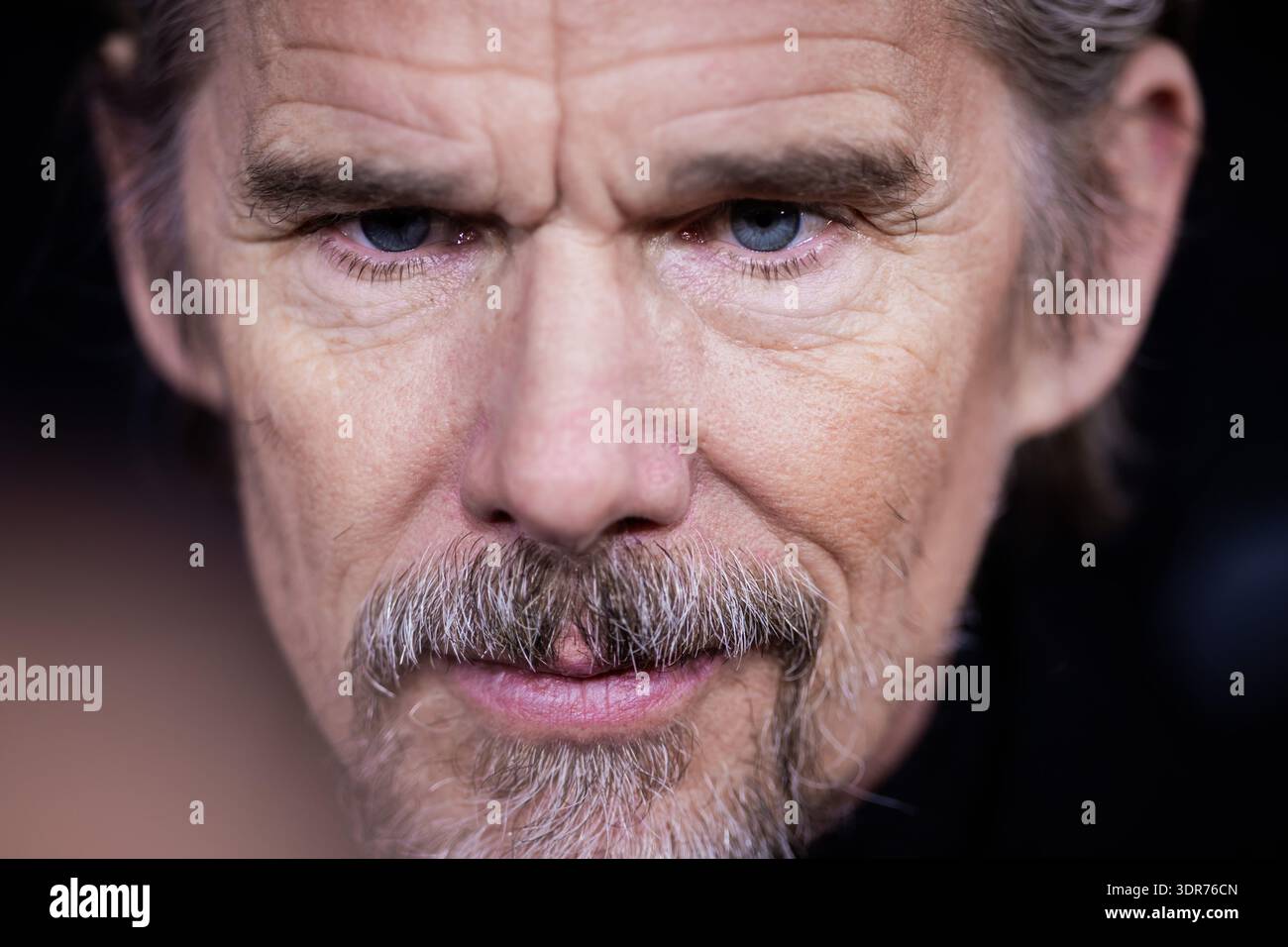 Hawk Actor 17 February 2026, Berlin: Ethan Hawke, actor, gives interviews at the ...