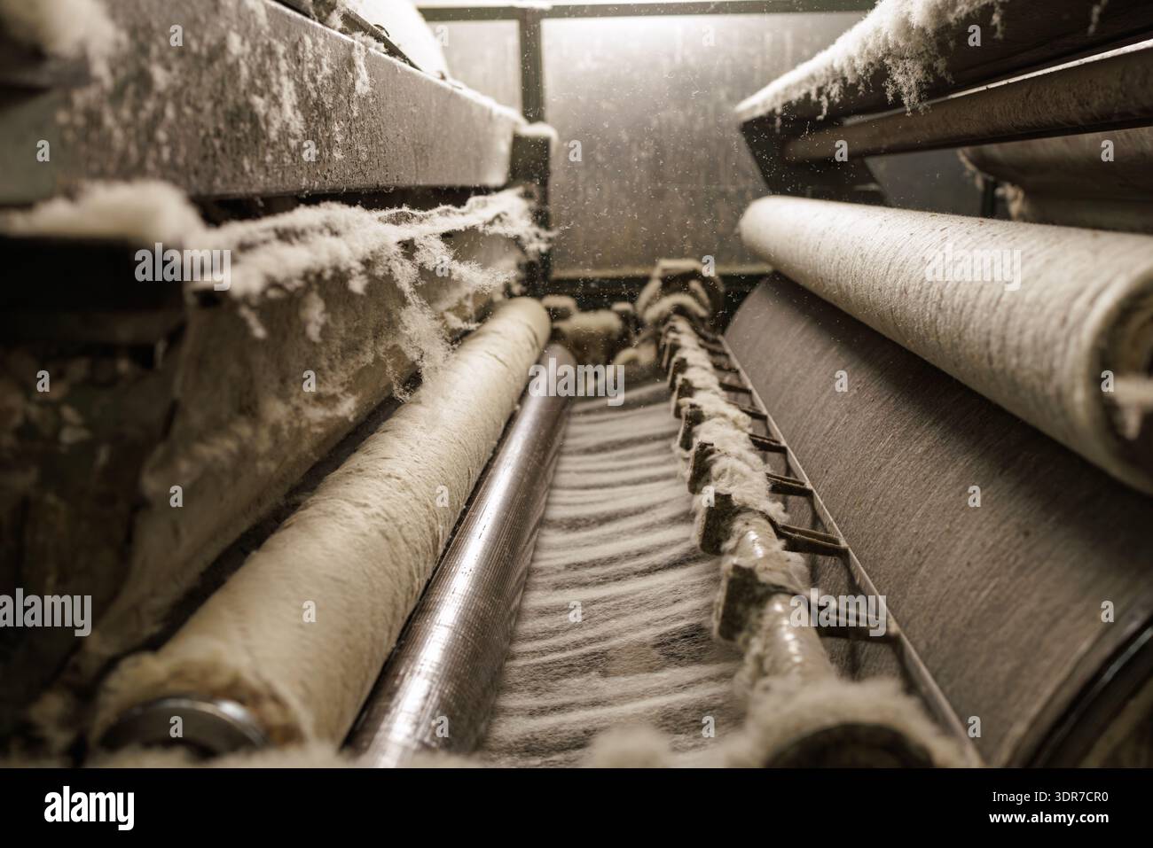 Industrial textile line processing merino wool fibers on rollers and ...
