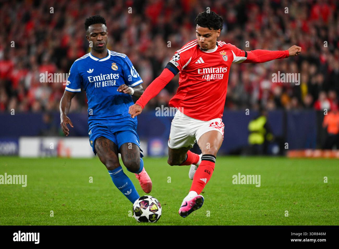 Lisbon, Portugal. 17 February 2026. Richard Rios from Benfica in action ...