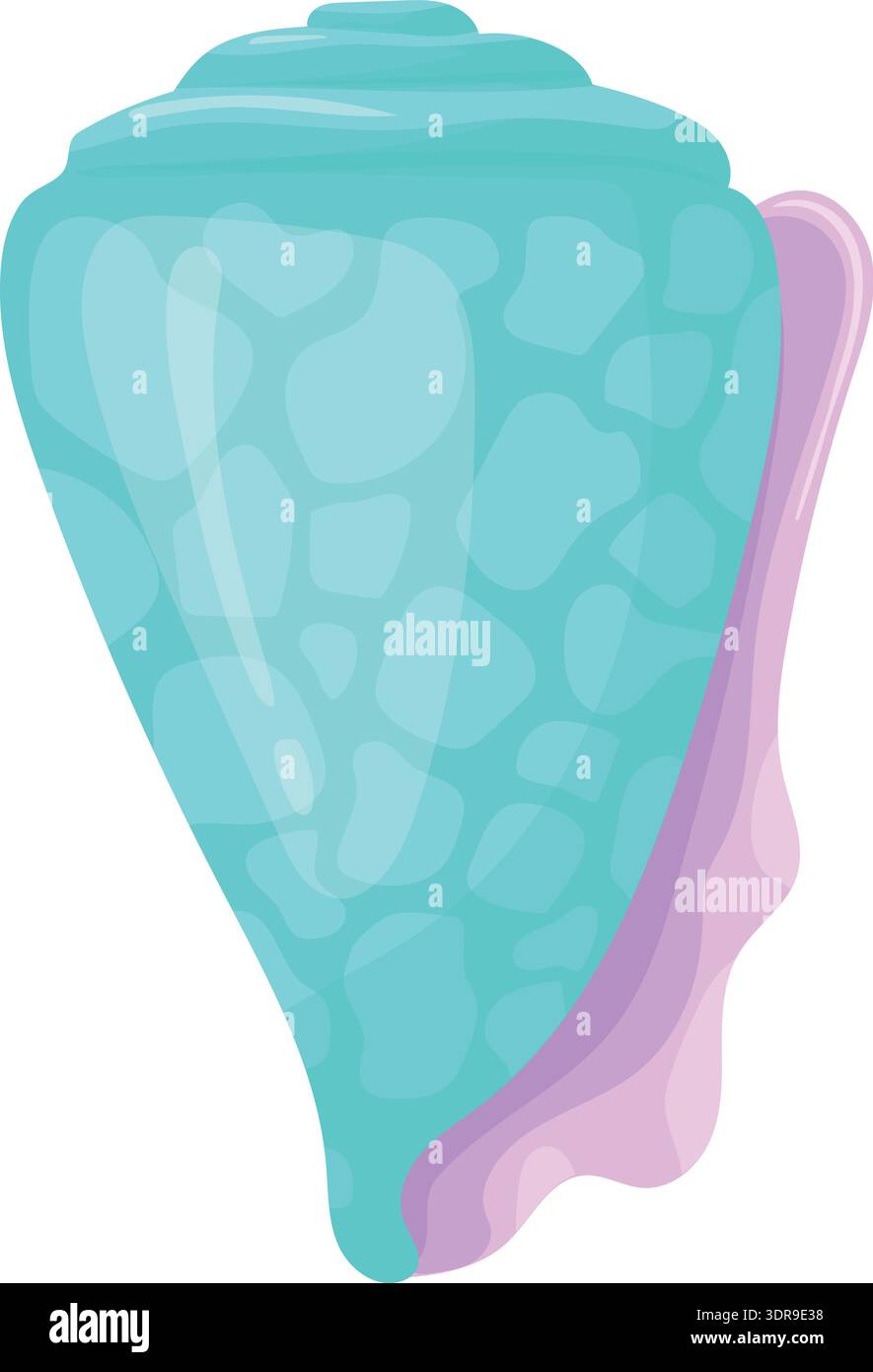 Cone shell illustration hi-res stock photography and images - Alamy