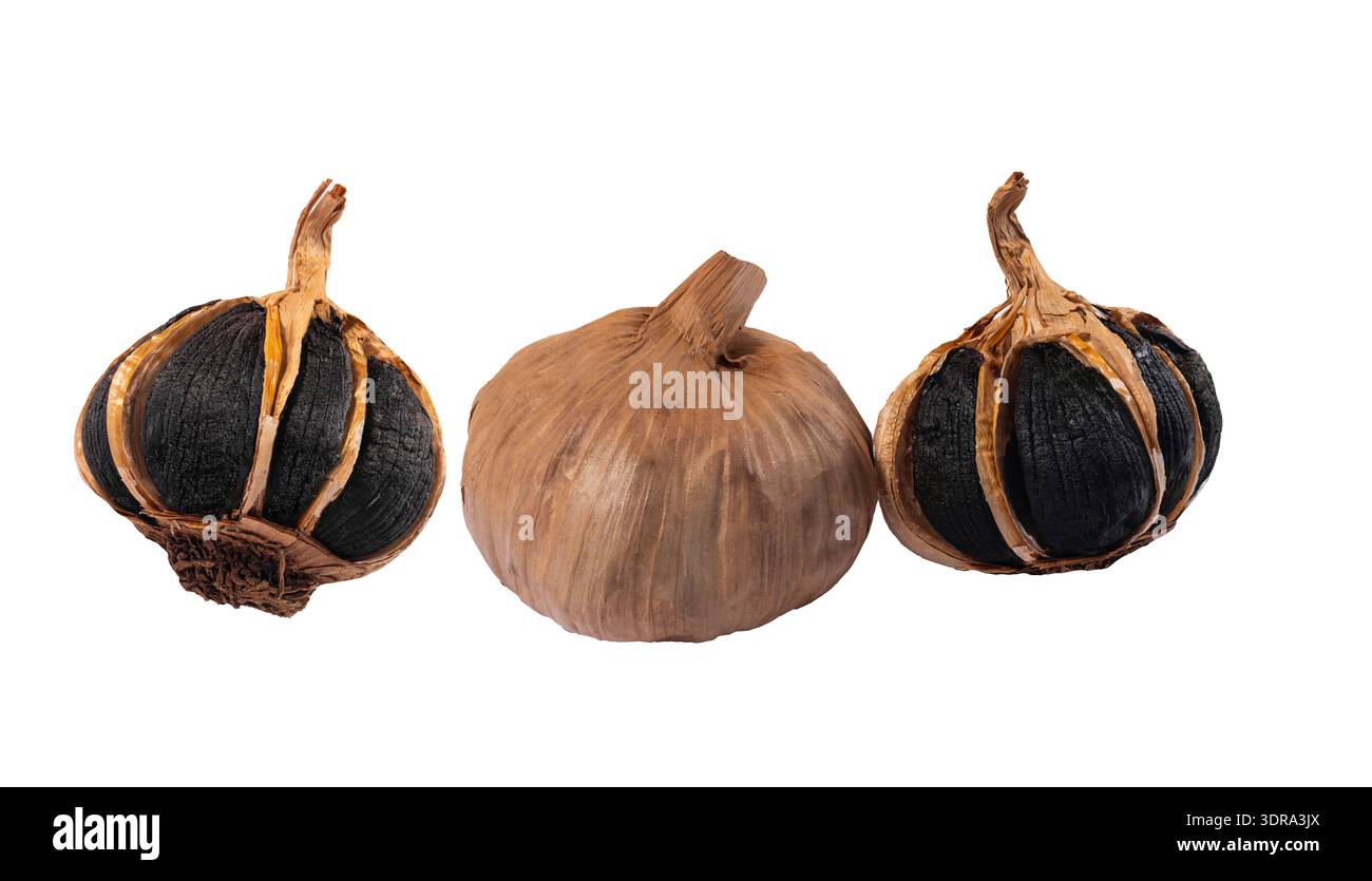 Black fermented garlic bulb isolated on white background Stock Photo