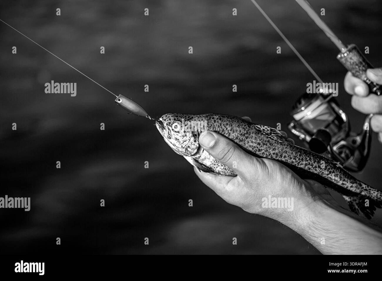 black and white trout with fishing pole Fishing catch water reel Black and White Stock Photos & Images