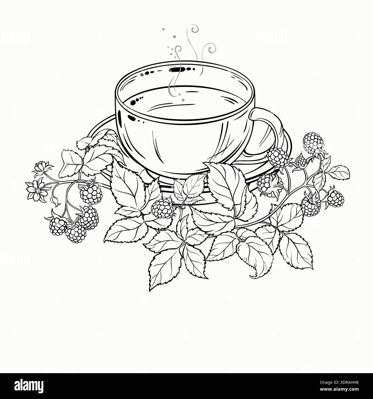 Cup of Raspberry Tea Outline Illustration. Stock Vector