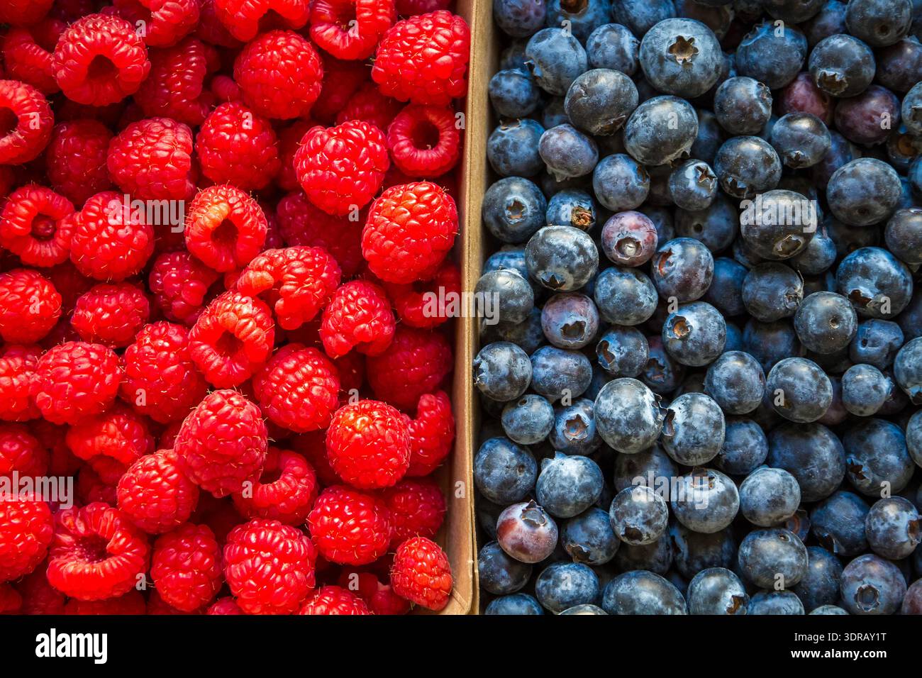 Blueberries and raspberries background Stock Photo