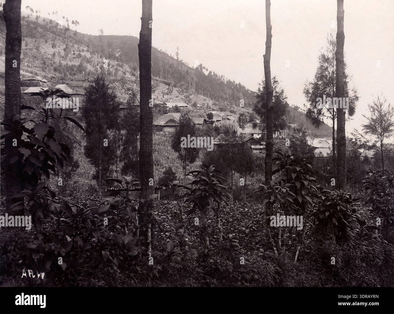 A hindu village in the tengger mountains of east java hi-res stock ...