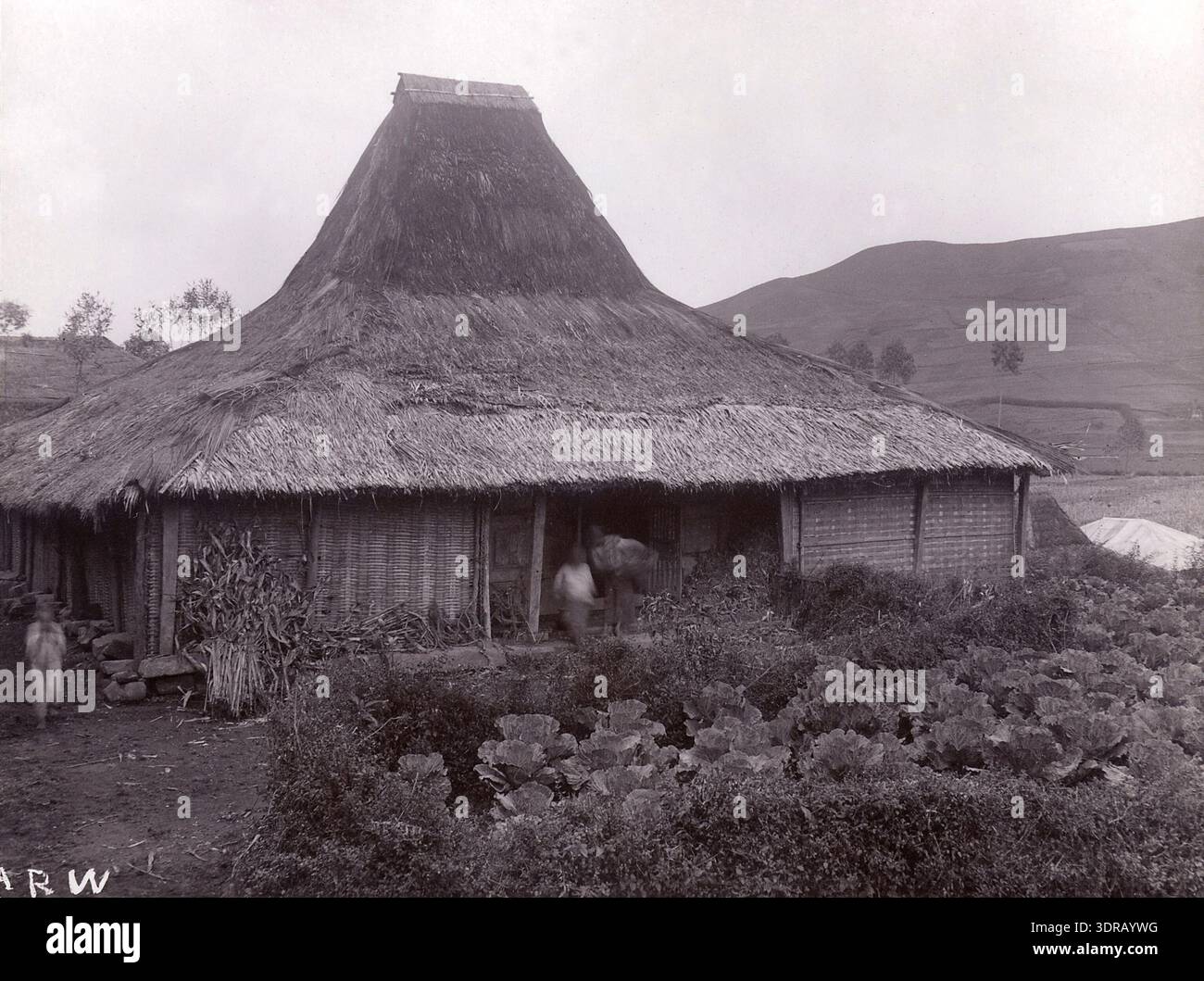 This photograph depicts a kampong house on the Dieng Plateau, Java ...