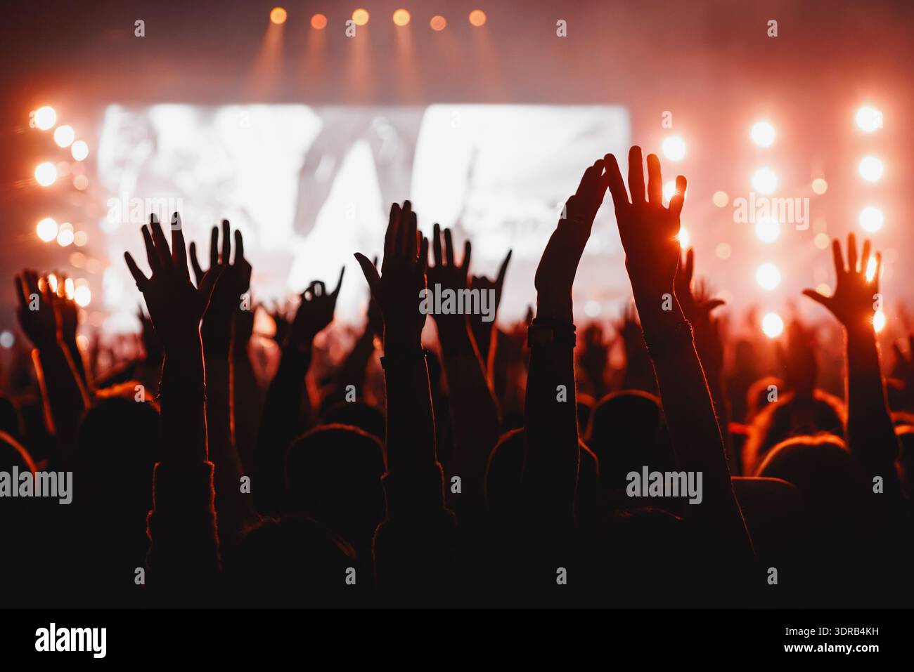 A large crowd of people with hands in the air cheering during a live ...