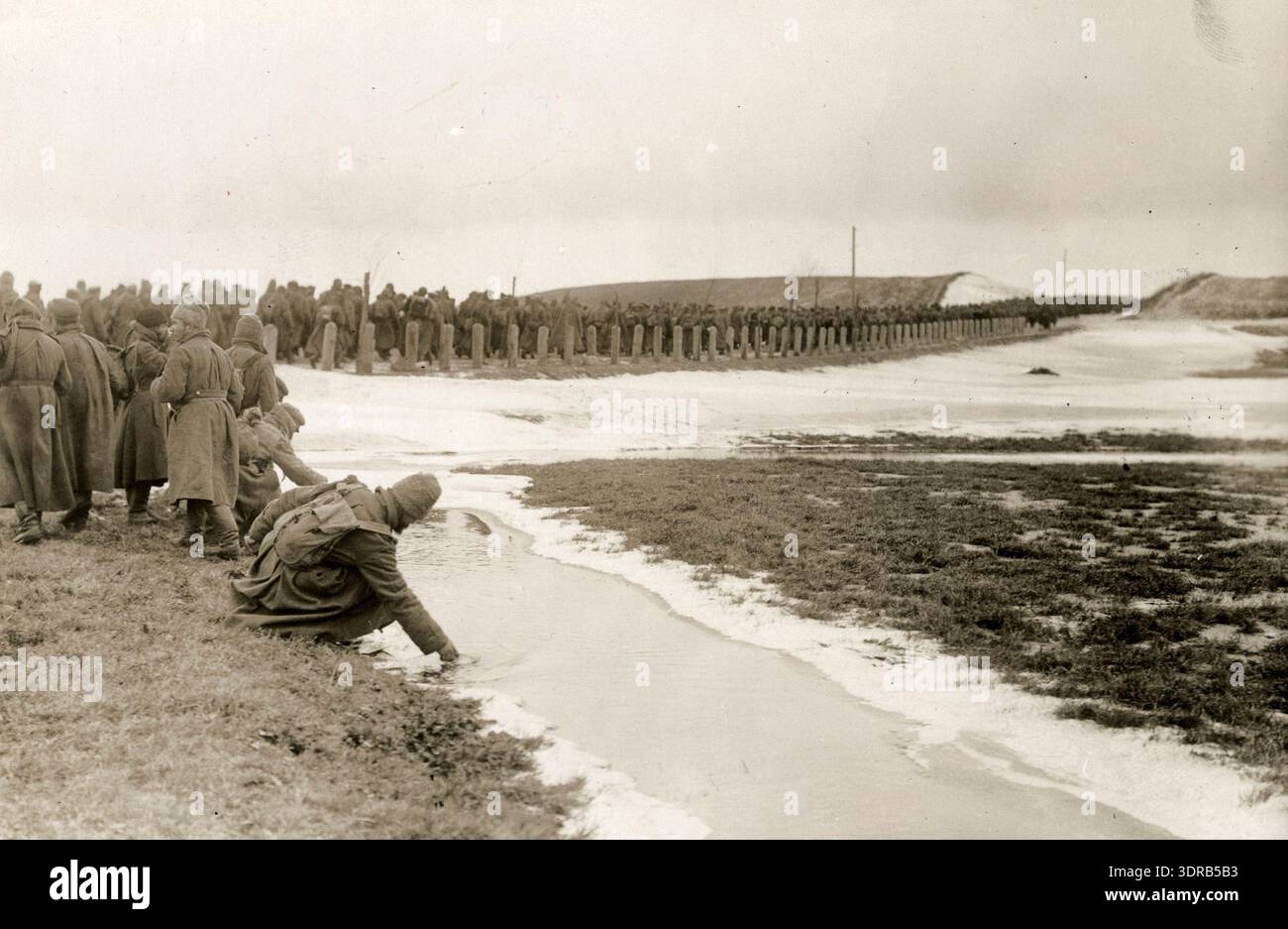 In 1915, a seemingly endless line of Russian prisoners of war is ...
