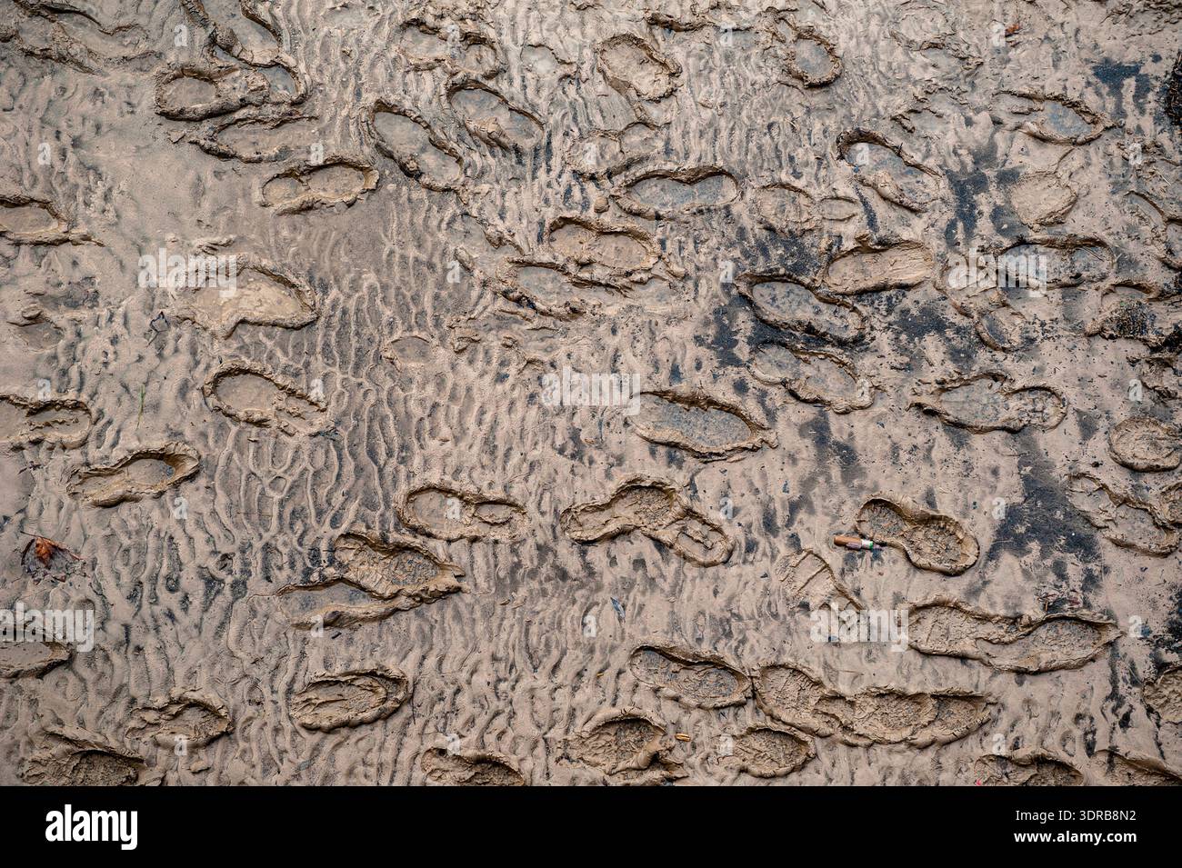 Footprints in the mud when floodwater has run off Stock Photo