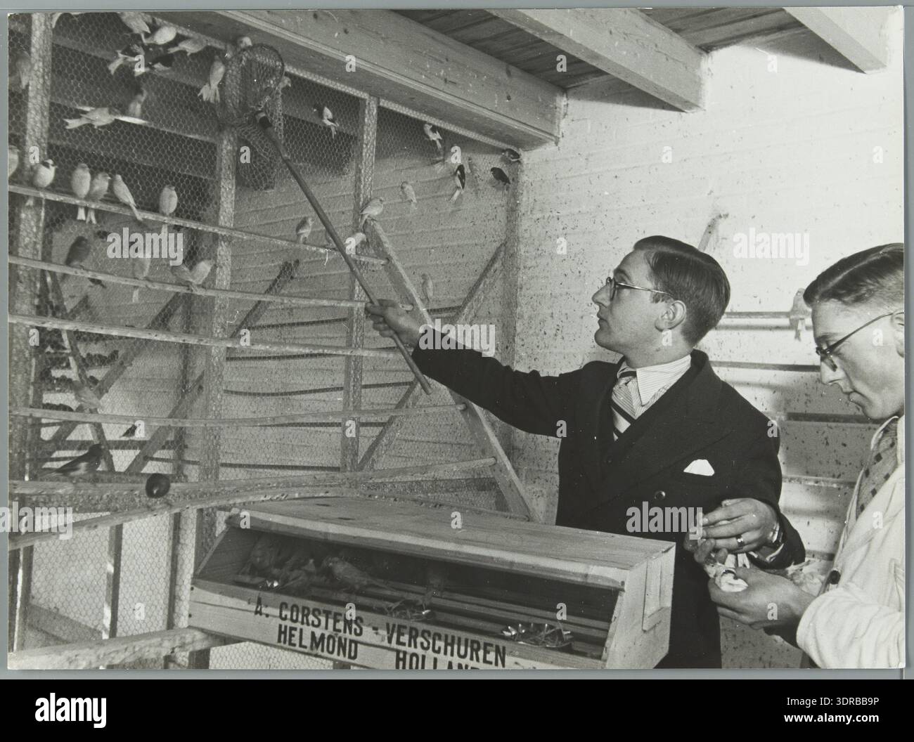 Early 20th century aviculture operations hi-res stock photography and ...