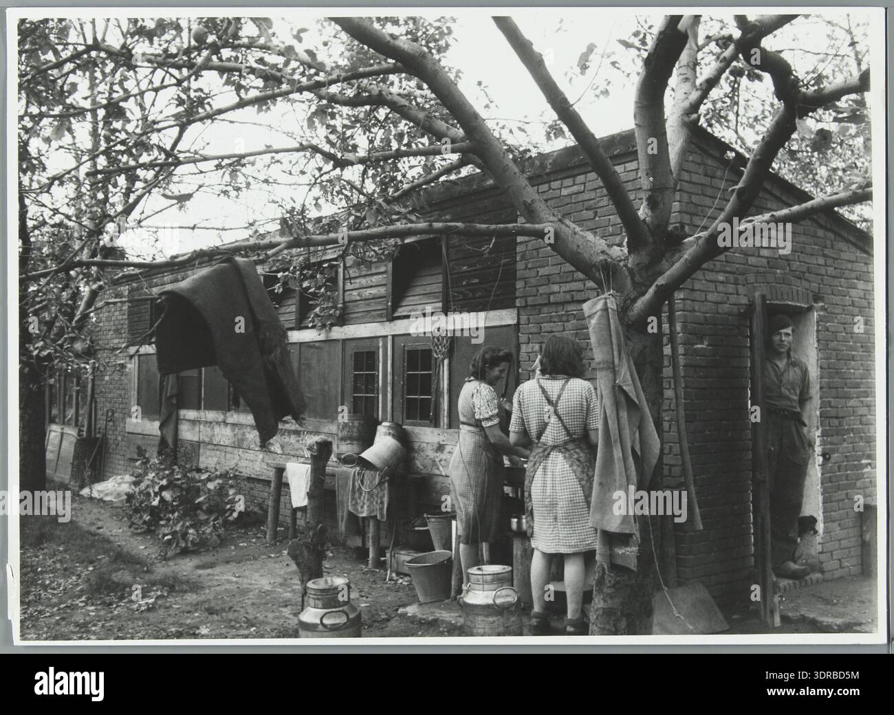 This 1945 photograph shows two women living in poor conditions in a chicken coop in Geysteren, North Limburg, Netherlands. The women are outside washing dishes, illustrating post-World War II housing shortages, rural