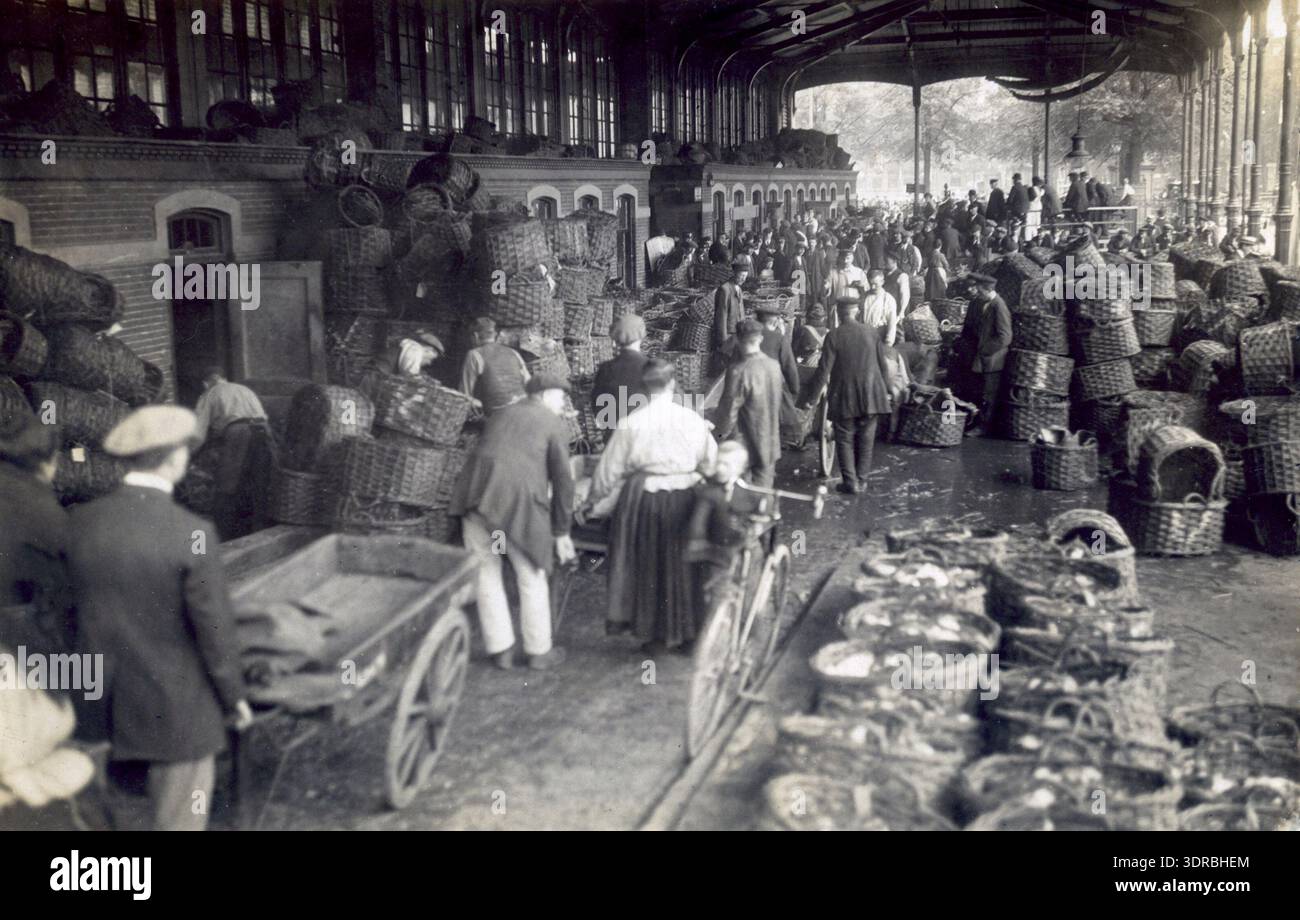 The photograph shows the interior of the fish hall in Rotterdam ...