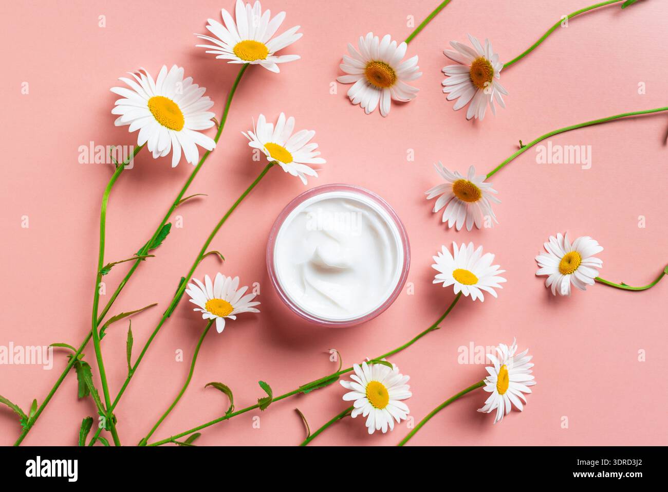 Natural organic face cream with chamomile flowers Stock Photo