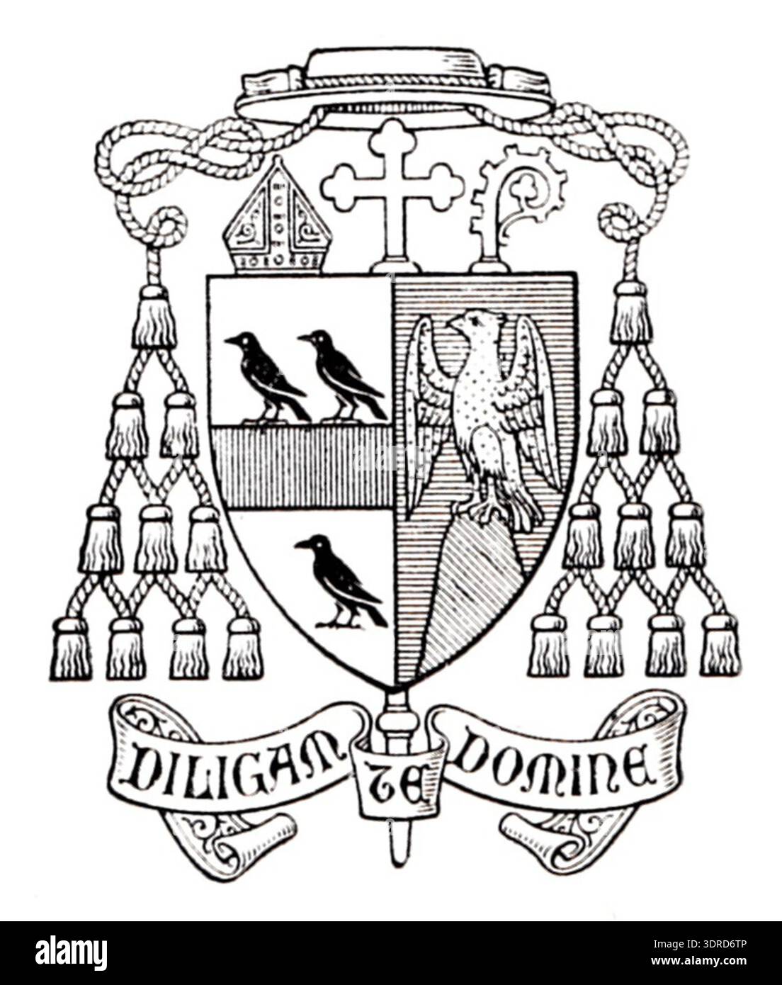 Catholic Insignia Researchers examining religious emblems and episcopal insignia hi-res ...