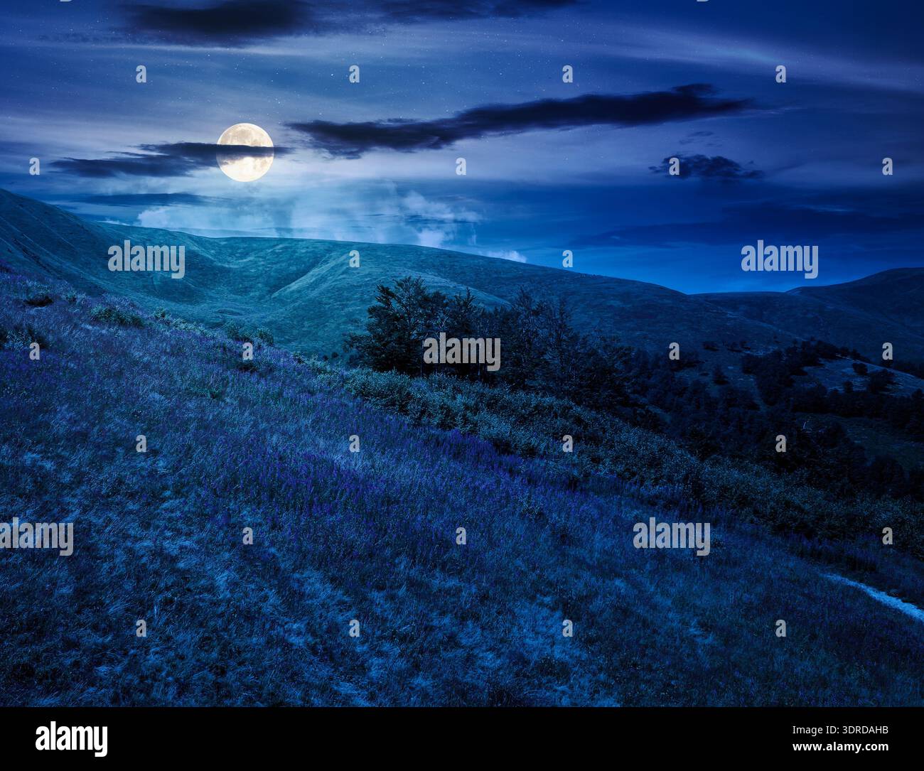 beautiful mountain landscape in summer at night. scenic view of green grassy hills with alpine forest in full moon light. picturesque scene for outdoo Stock Photo