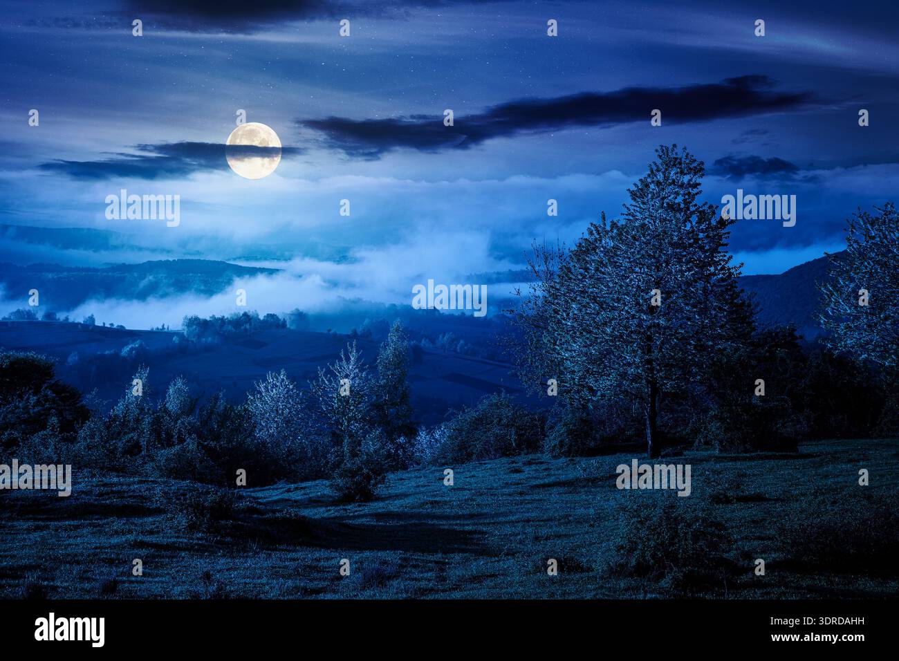 mountain landscape in fog at night. lush alpine meadows in spring in full moon light. beautiful view in to the valley. dark sky with clouds. backdrop Stock Photo