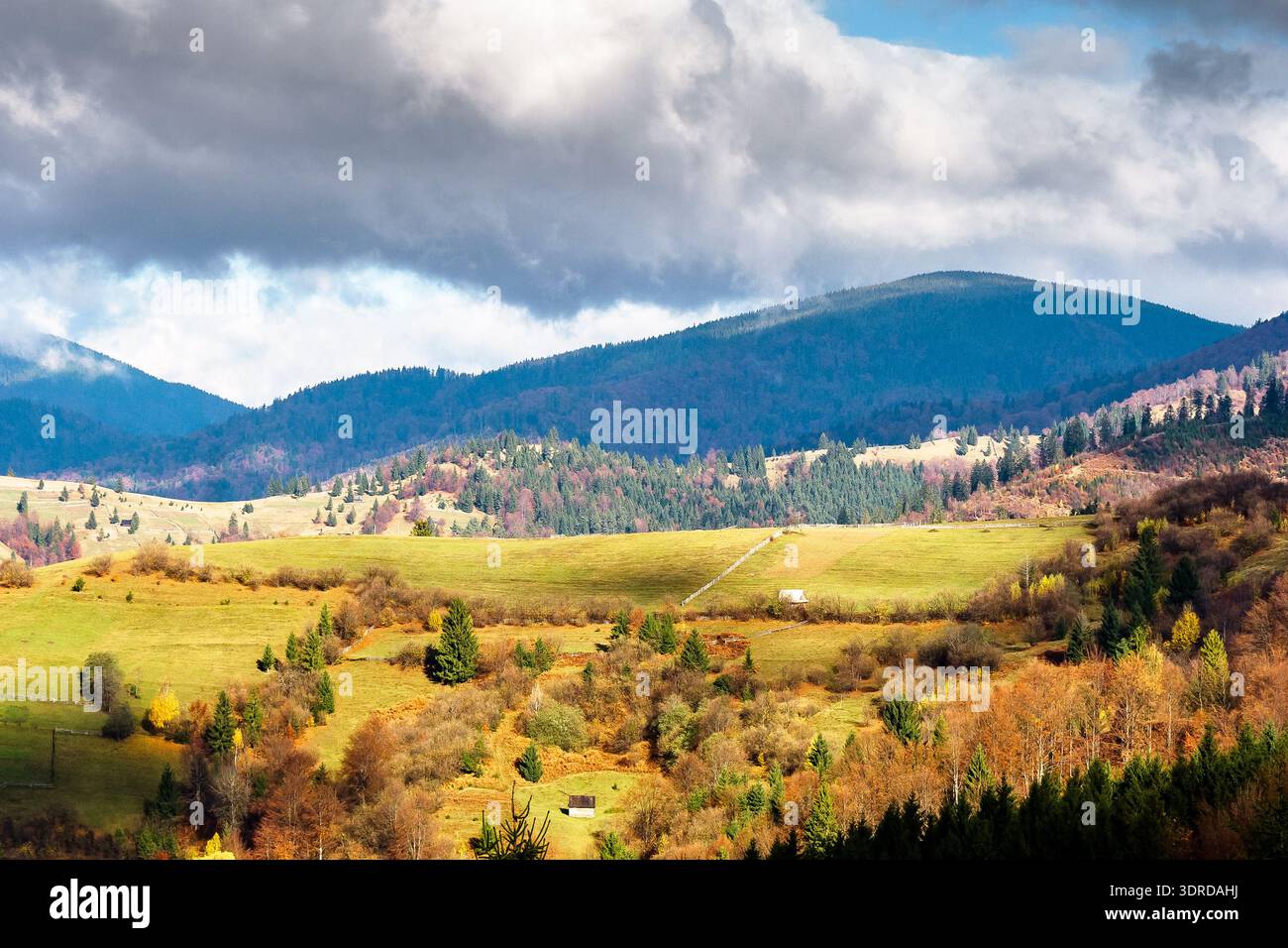 autumn landscape of rural region in carpathian mountains. rolling hills with green alps in dappled light. serene countryside on a sunny morning and cl Stock Photo