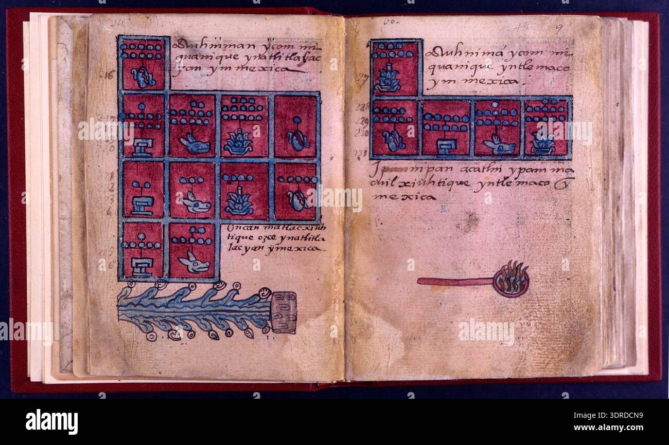 Codex Structure The Codex Aubin, 1576, includes eighty-one European paper leaves bound ...