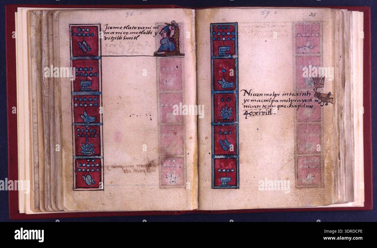 Codex Examples Social This 1576 Codex Aubin contains eighty-one European paper leaves bound ...