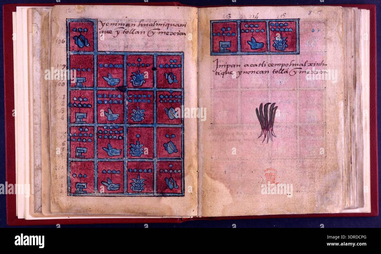 This 1576 Codex Aubin consists of eighty-one European paper leaves ...
