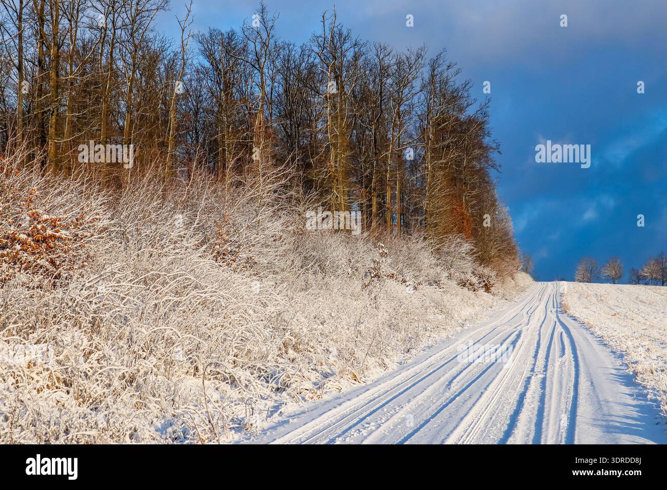 Slippery road surface in winter Stock Photo