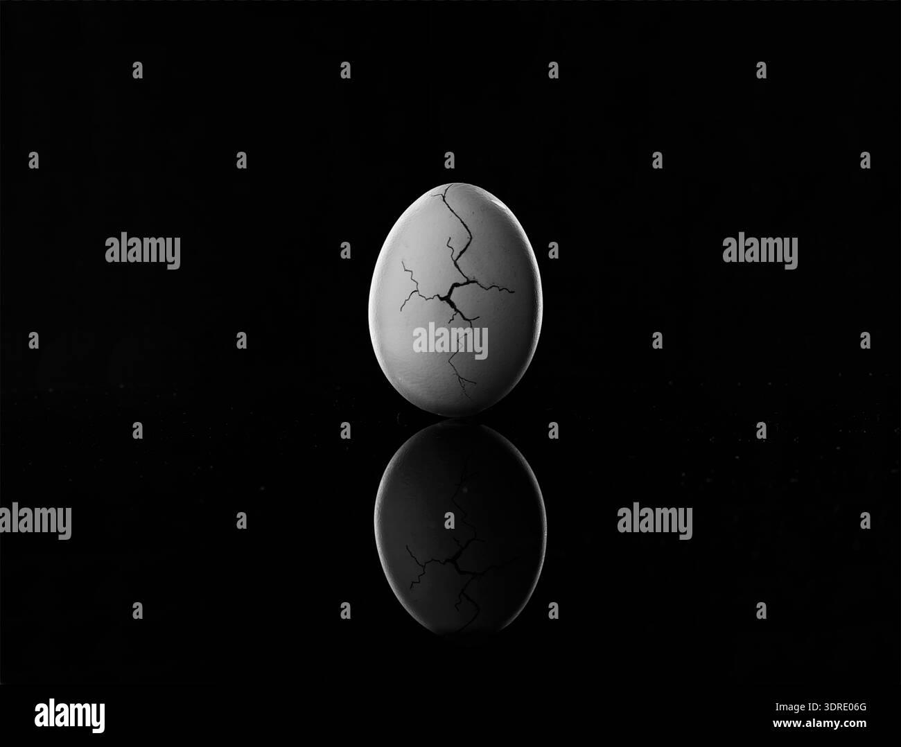 cracked white egg on black background with reflection Stock Photo