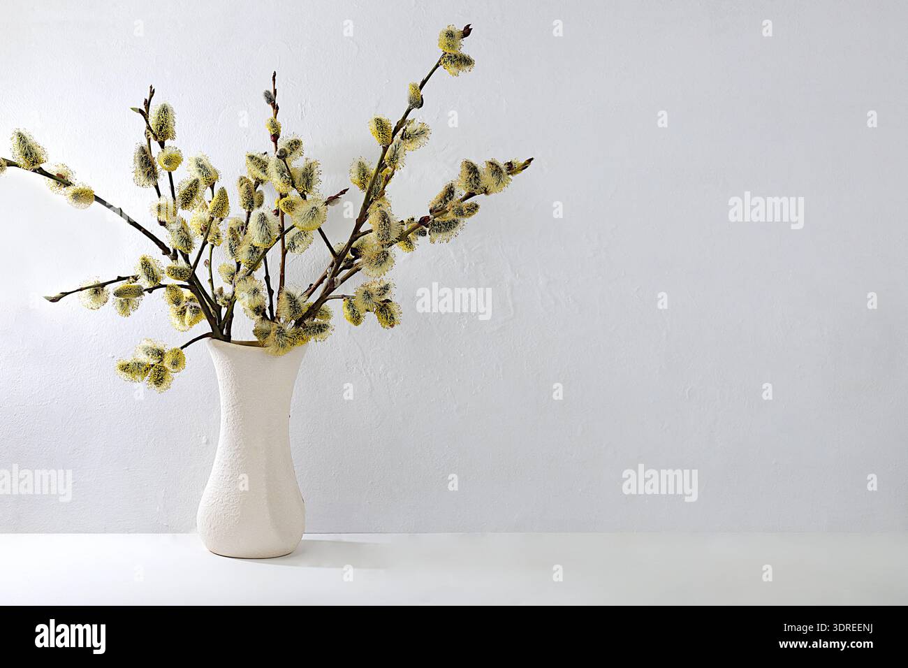 Holiday concept with delicate willow flowers, spring flower arrangement, still life or banner with place for text. Greeting card Stock Photo