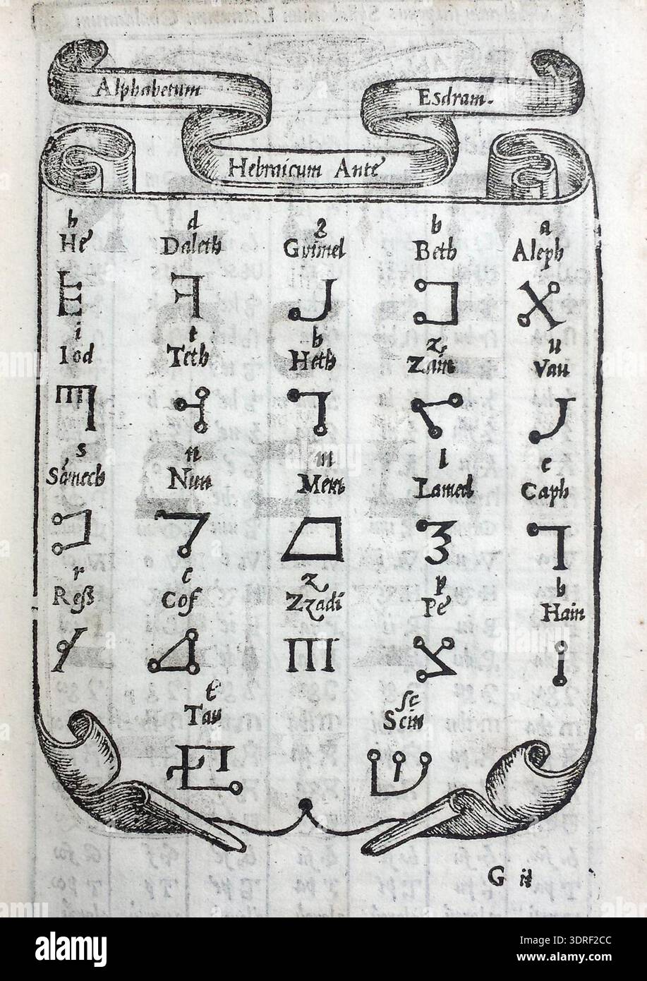 This 1561 calligraphy manual by Giovanni Battista Palatino, printed in ...