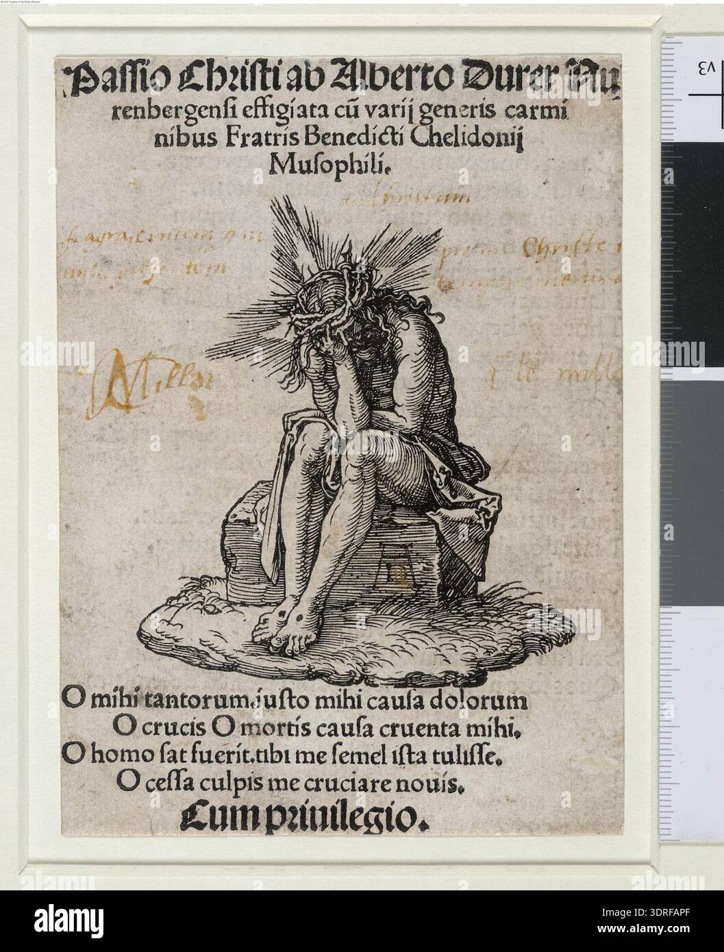 This 1511 woodcut and letterpress print by Albrecht Dürer is the title ...